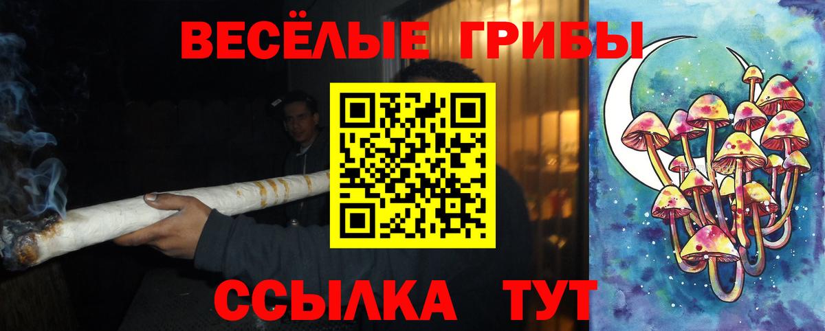 Галлюциногенные грибы MAGIC MUSHROOMS  Вход с VPN  Саров  Галлюциногенные грибы Cubensis 